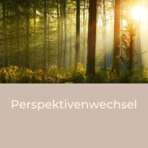 Perspektivenwechsel